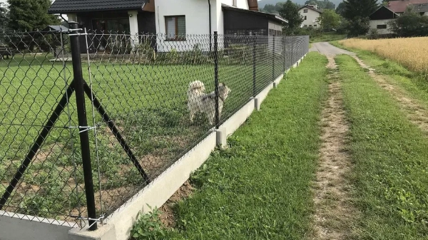 Siatka ogrodzeniowa Oferta